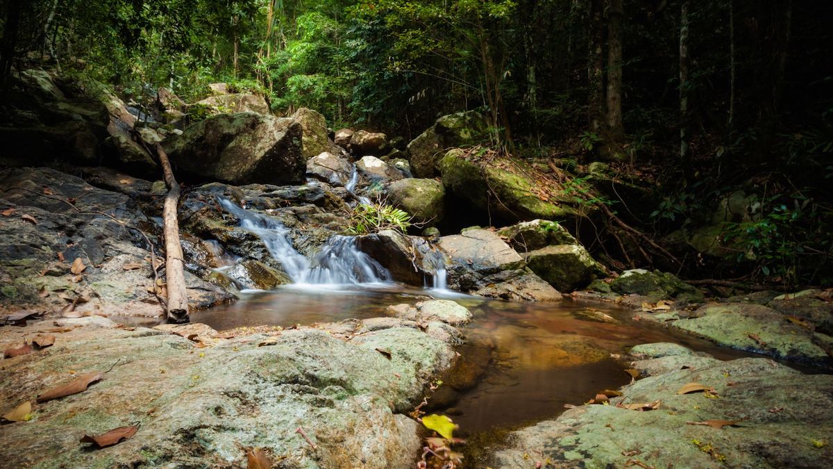 The 7 Best Waterfalls in Koh Phangan