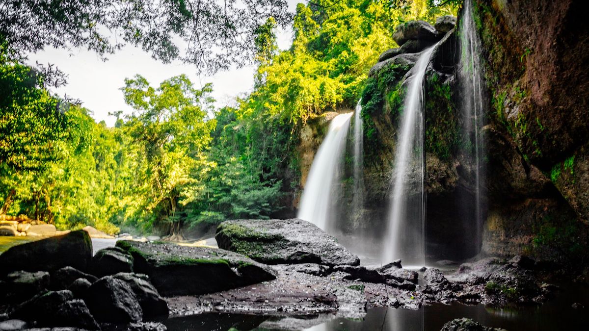 Khao Yai National Park - Travel Guide