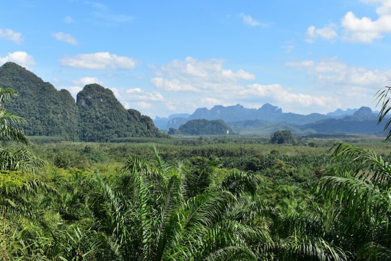 Phuket to Khao Sok